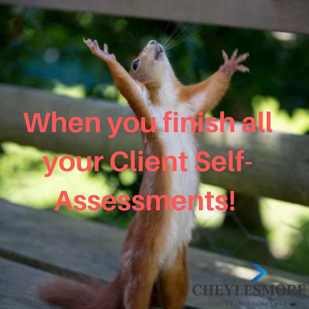 All in on time, everytime! 🐿 #SA #ptr #assessments #hmrc #tax #accountant #accountantcoventry #coventry #coventrybusiness #selfassessment #taxreturn #taxreturns #selfassessmenttaxreturns