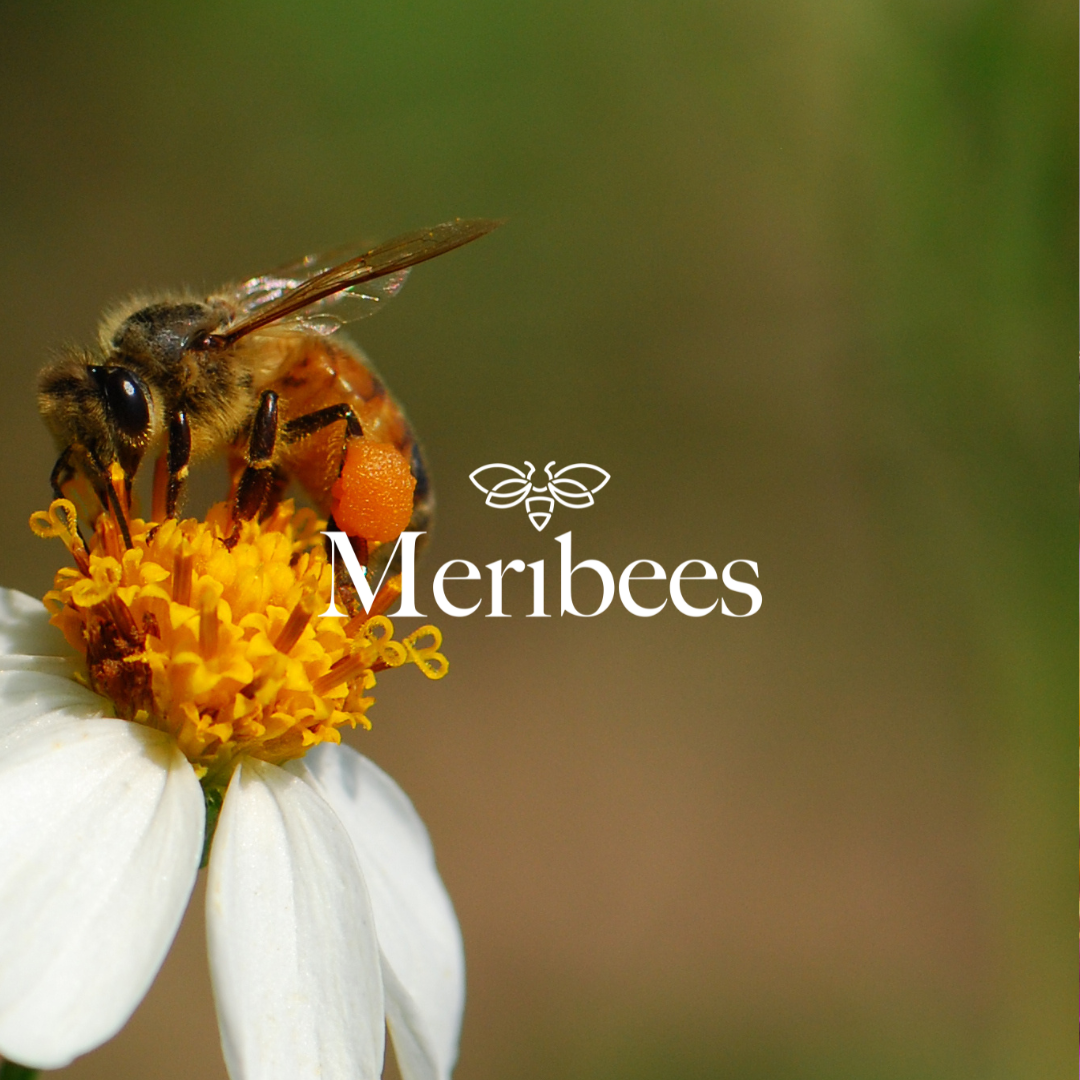 Meribees
