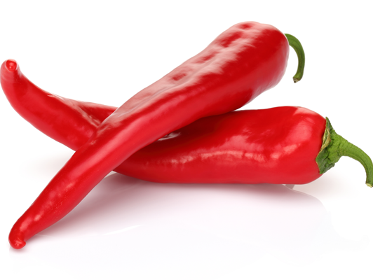 Plant de piment type Espelette en pot 4"( piment Gorria)