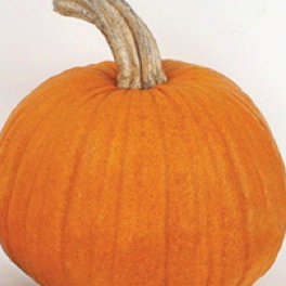 Orange Pumpkin
