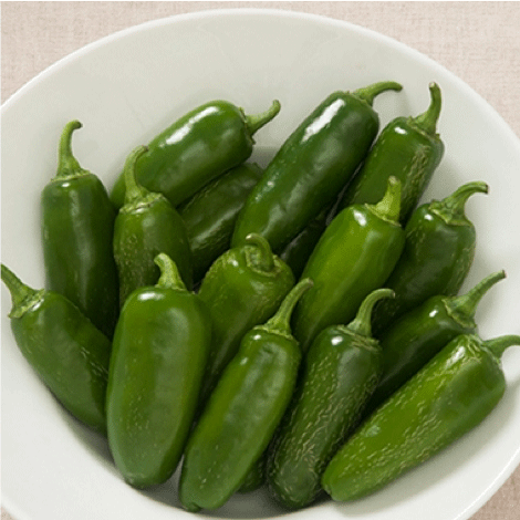 The Salsa Garden Kit