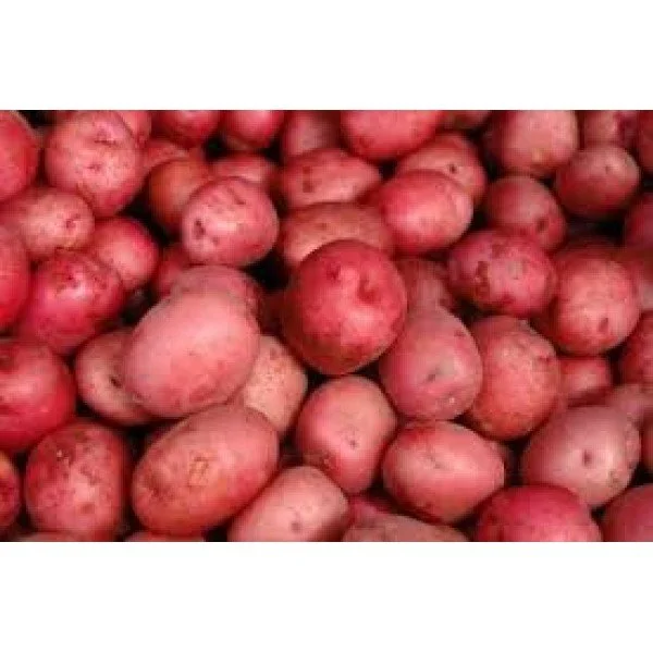 red potato.jpeg