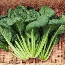 valley-flora-farm_tatsoi.jpeg
