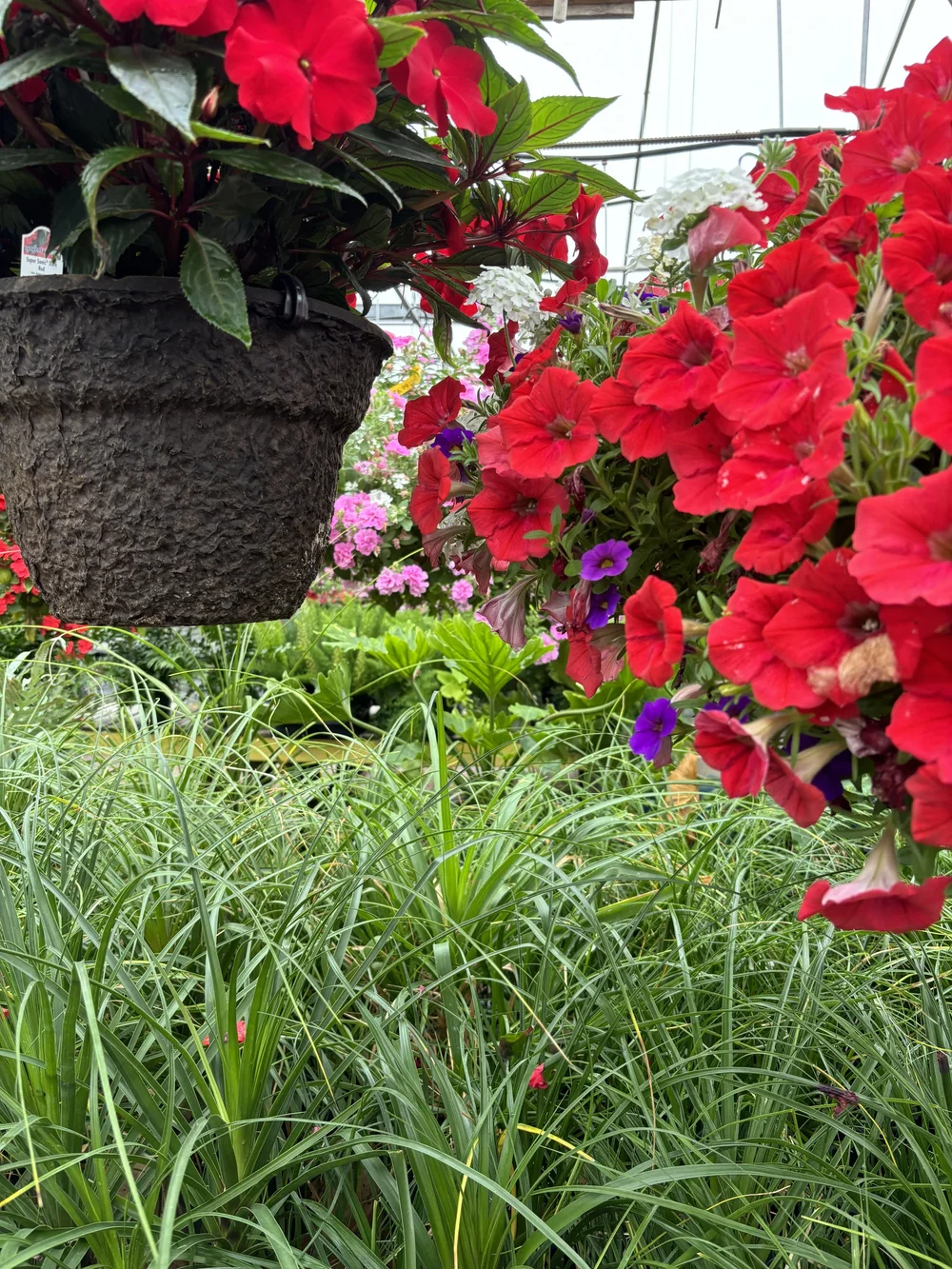 Chippewa-Falls-Wisconsin-Klinger-ErinMolstadPhotography