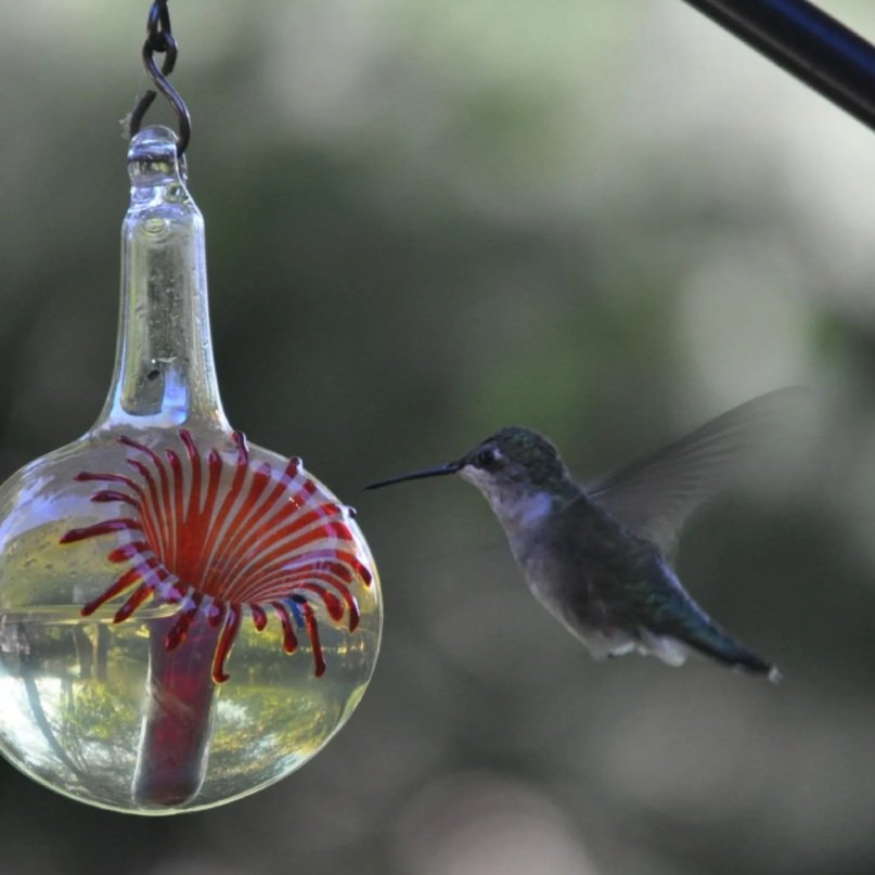 Glass Hummingbird Feeder