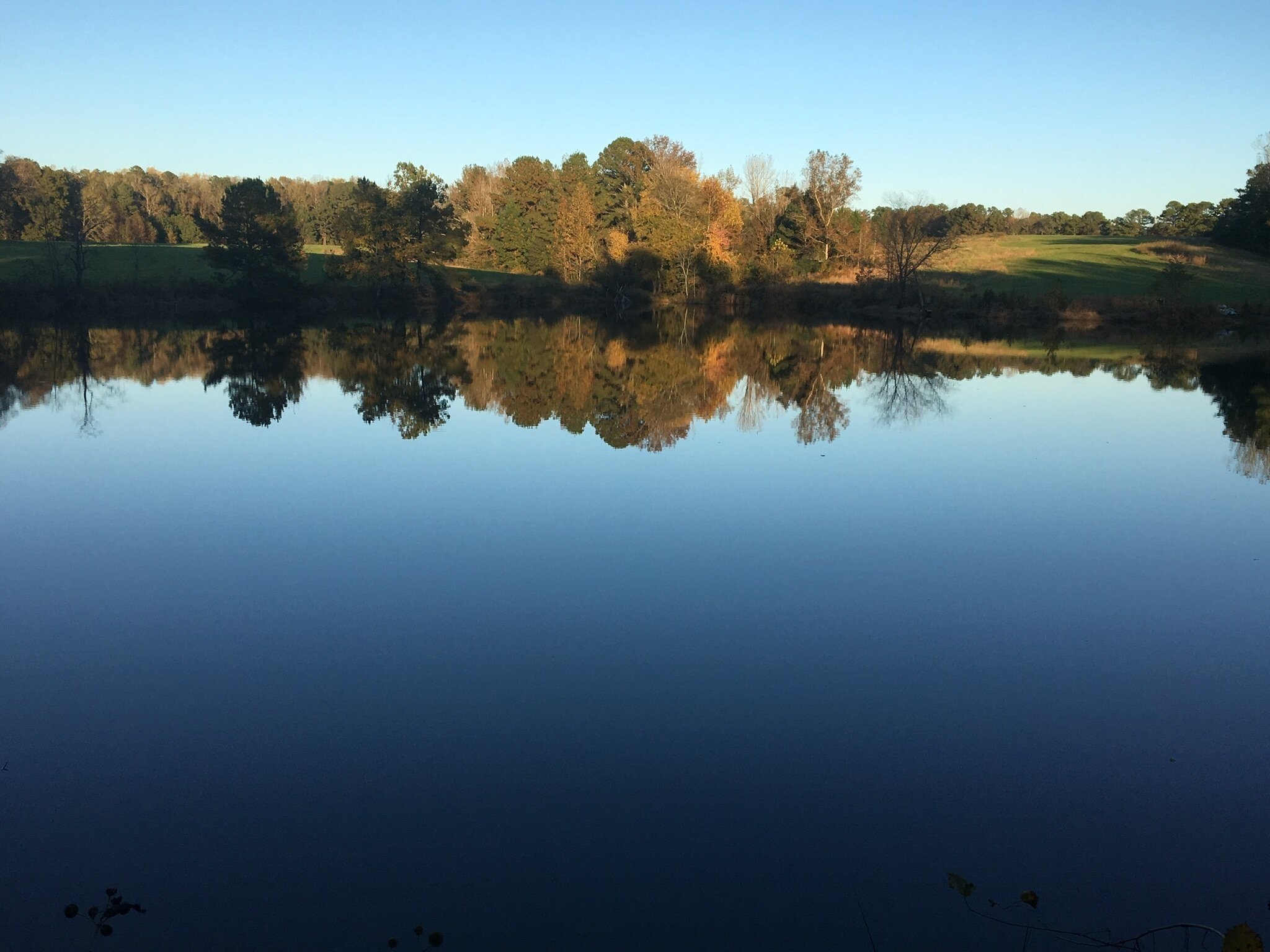 Carhan Farm photo 2