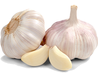 Garlic
