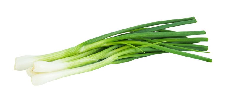 Green Onion.jpg