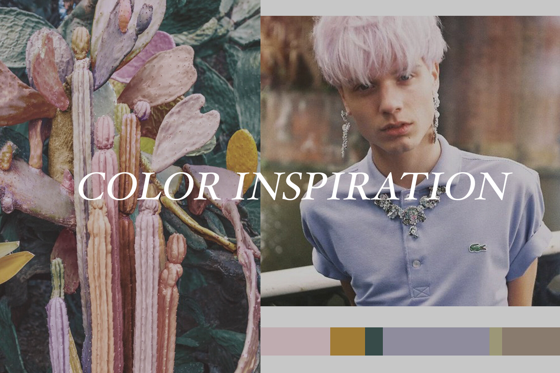 color inspiration img_template.jpg