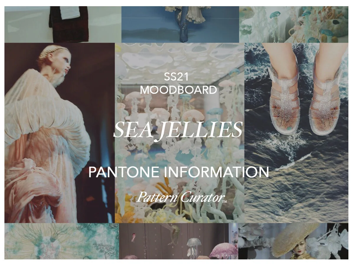 SEA JELLIES