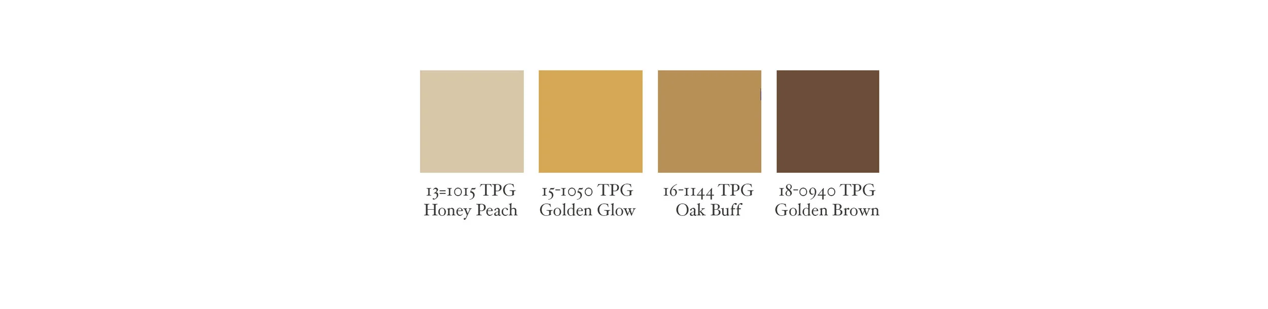 _GOLD BROWN-COLOR PALETTE.jpg