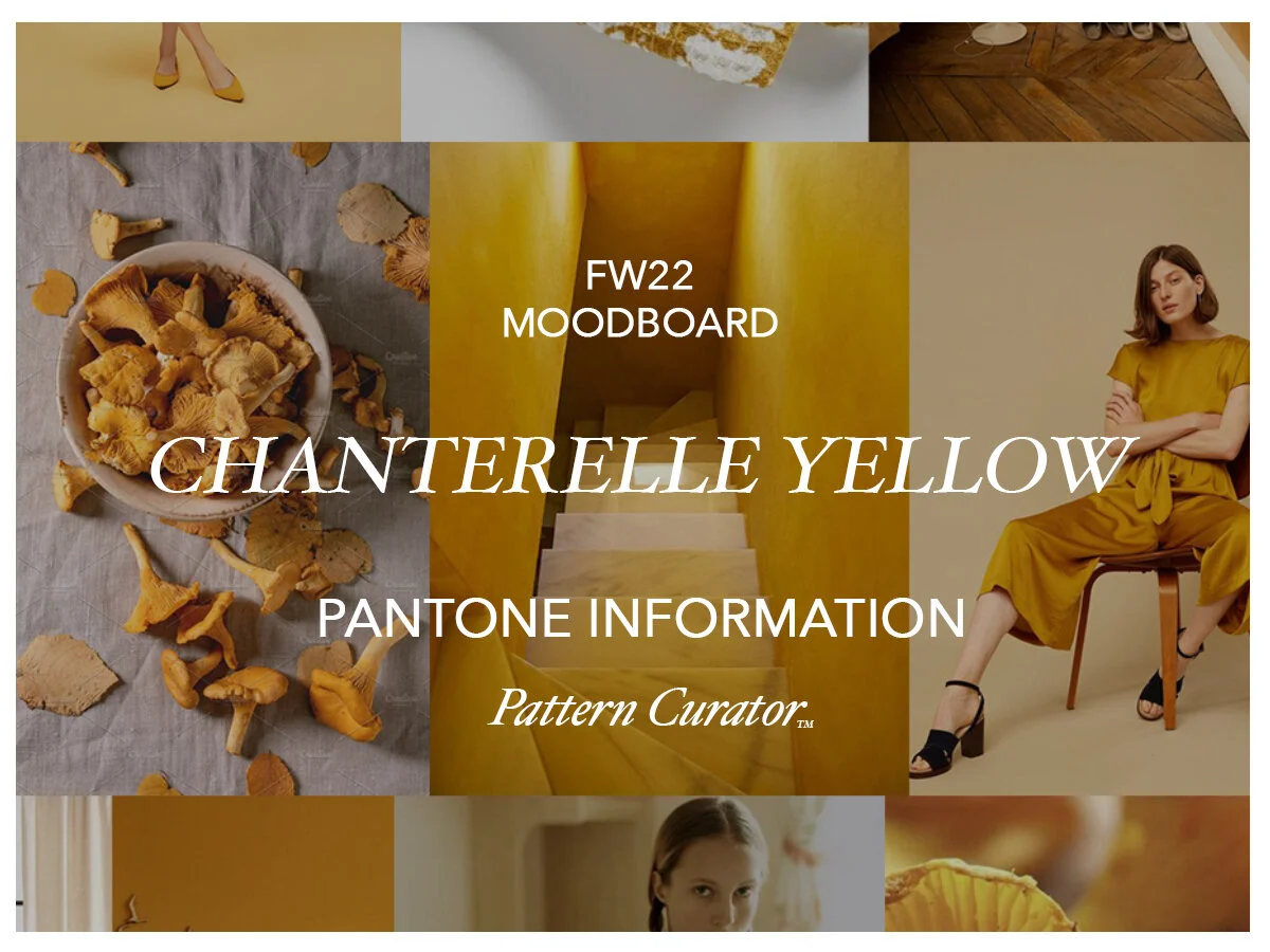 CHANTERELLE YELLOW