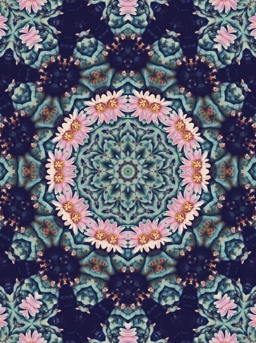 1aaef69ba41f9158ab78fb9b06c558b7.jpg