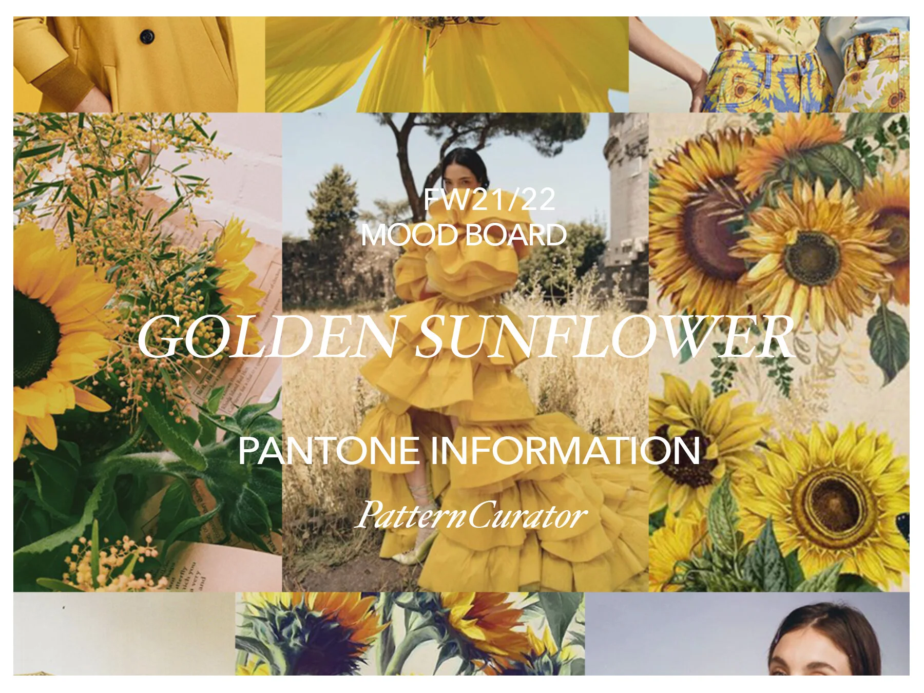 GOLDEN SUNFLOWER