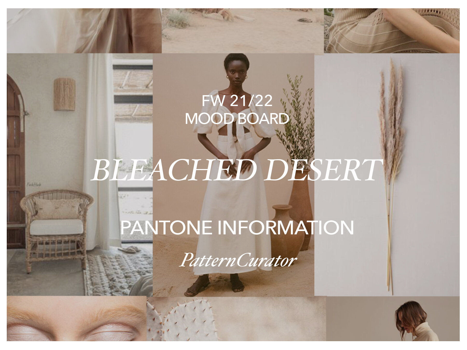 BLEACHED DESERT