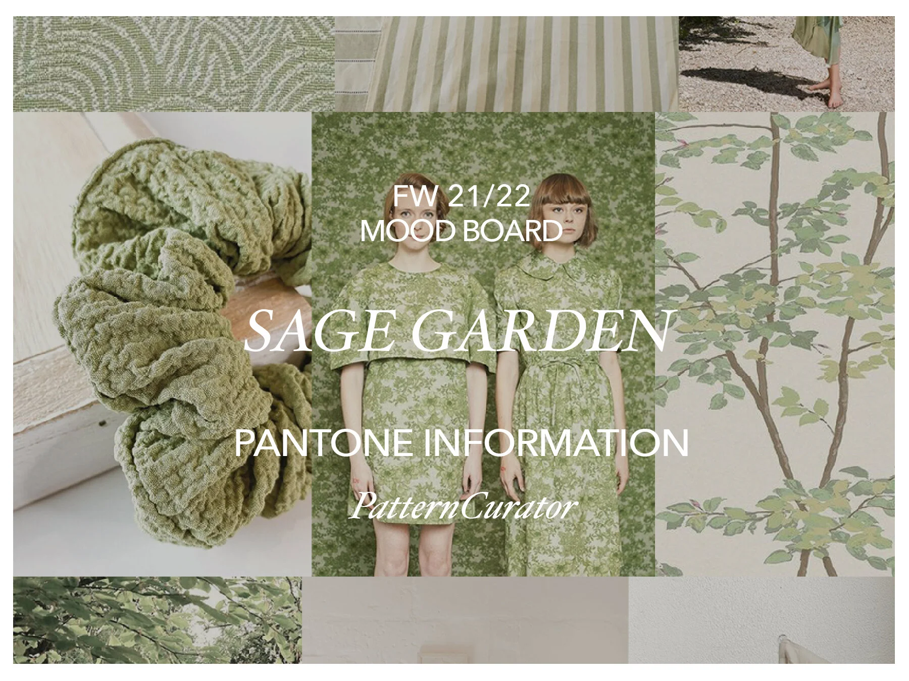 SAGE GARDEN