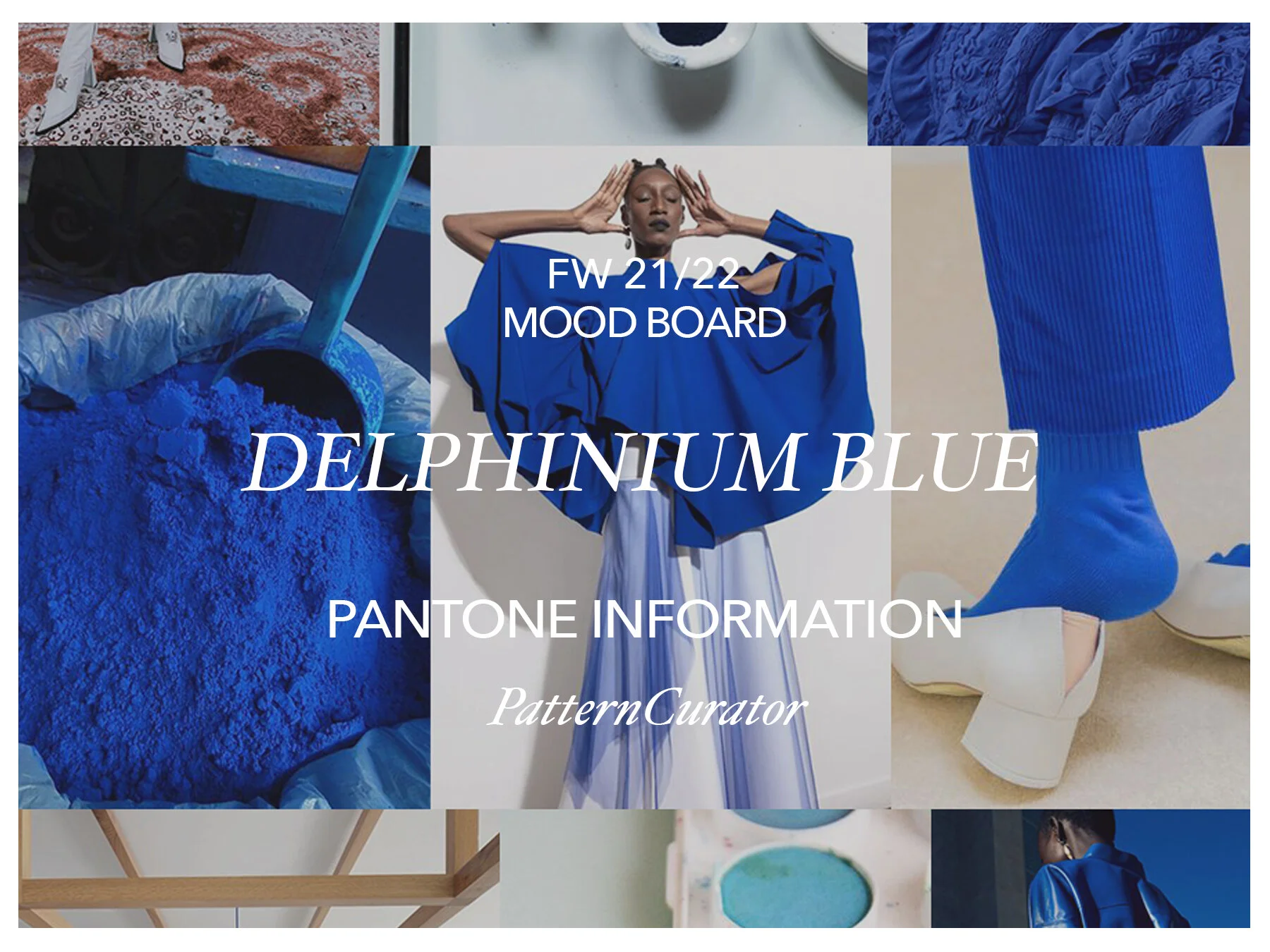 DELPHINIUM BLUE
