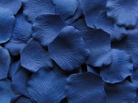 store.petalgardem.com