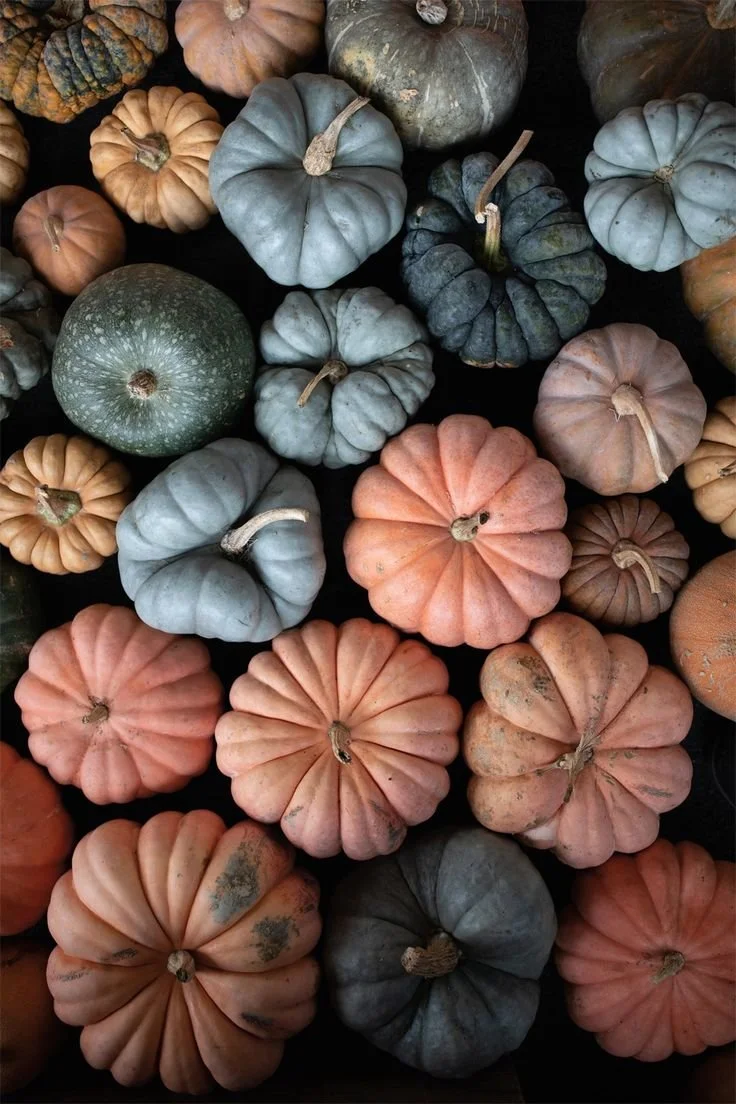 workshop.floret.flowers.com