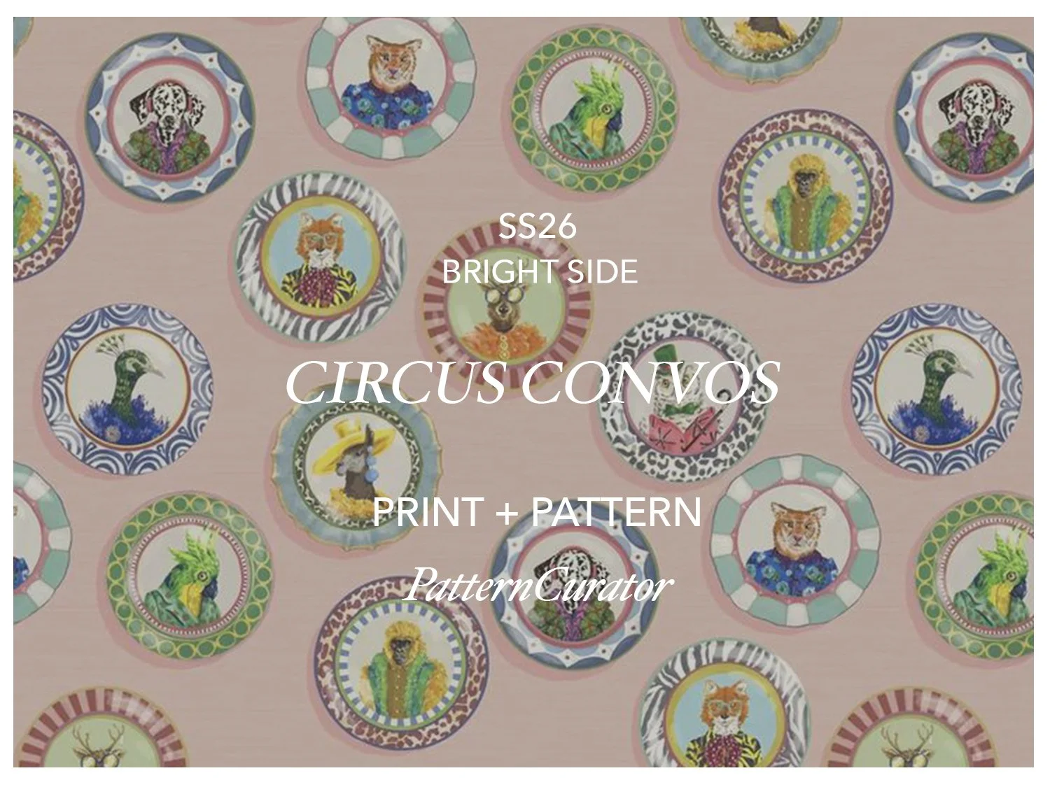 CIRCUS CONVOS