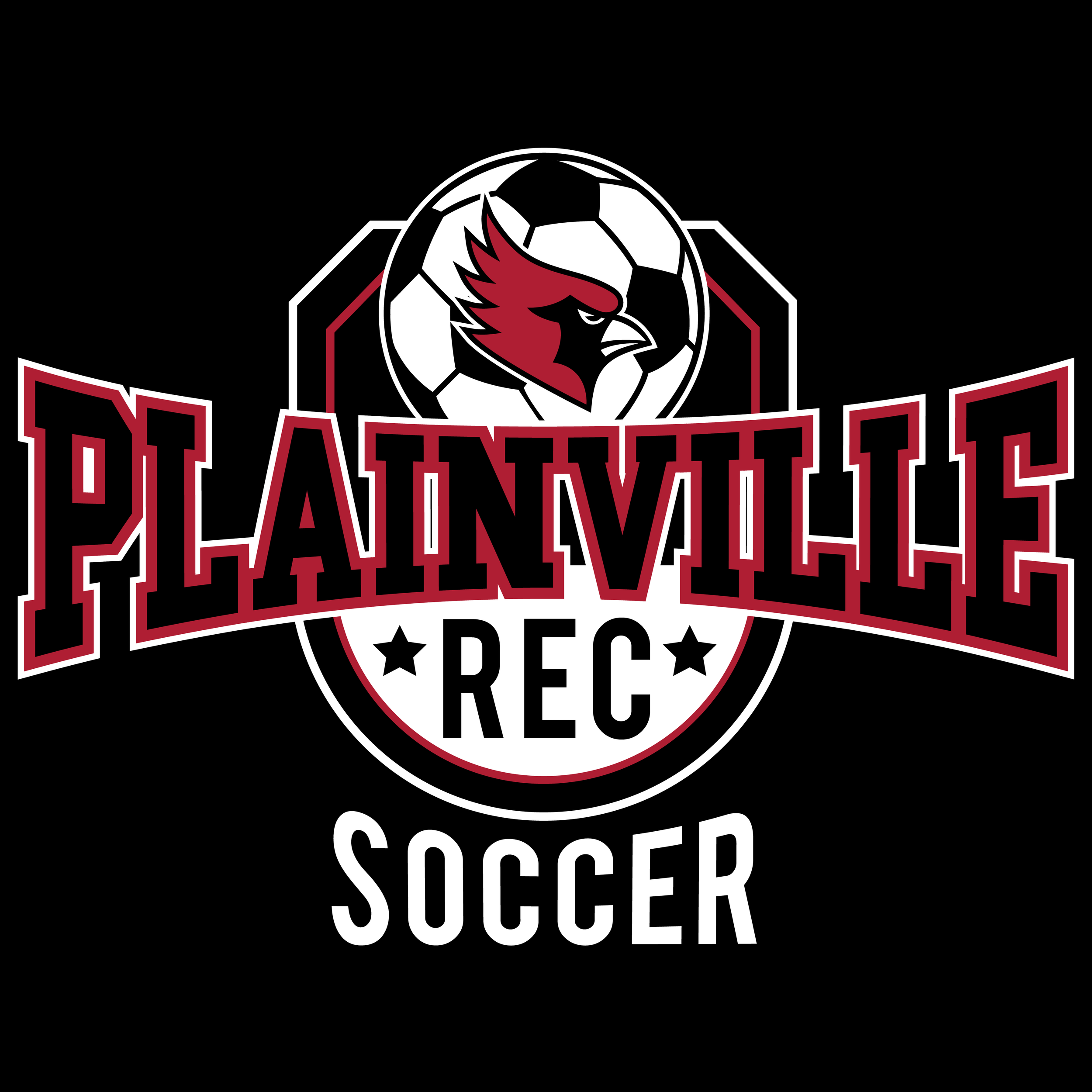 plainville rec soccer 2021-01.png