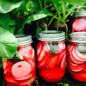 pickled-radish-recipe.jpg