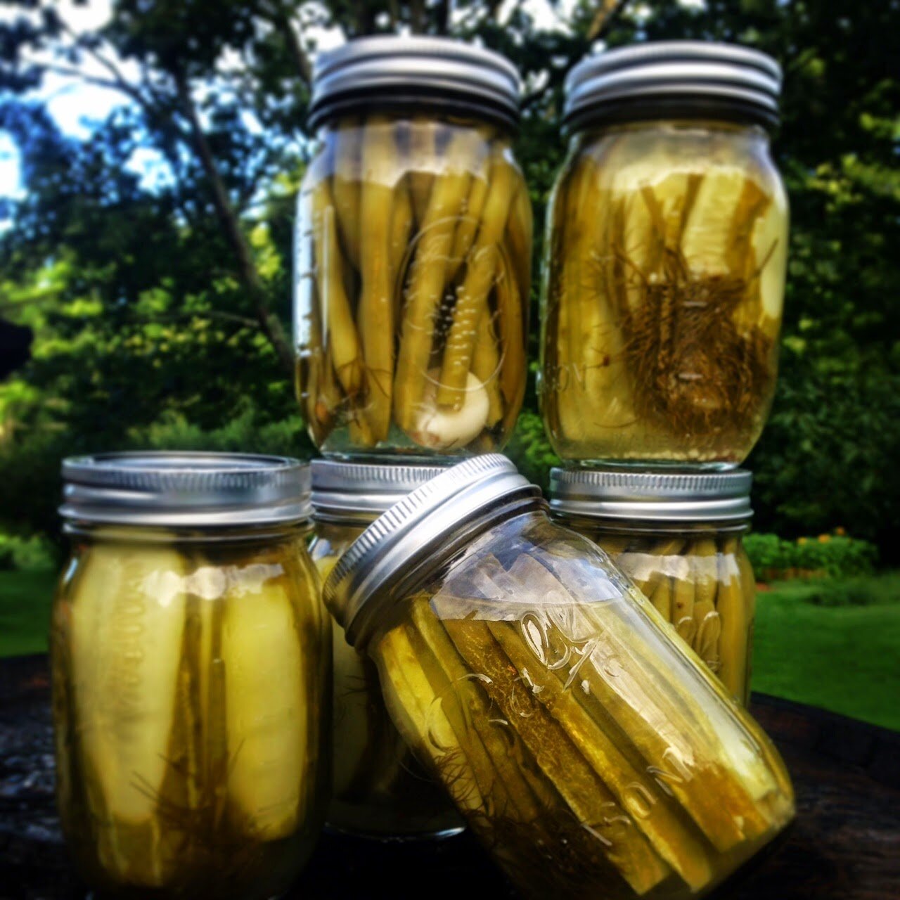 canning-pickles-and-dilly-beans.JPG