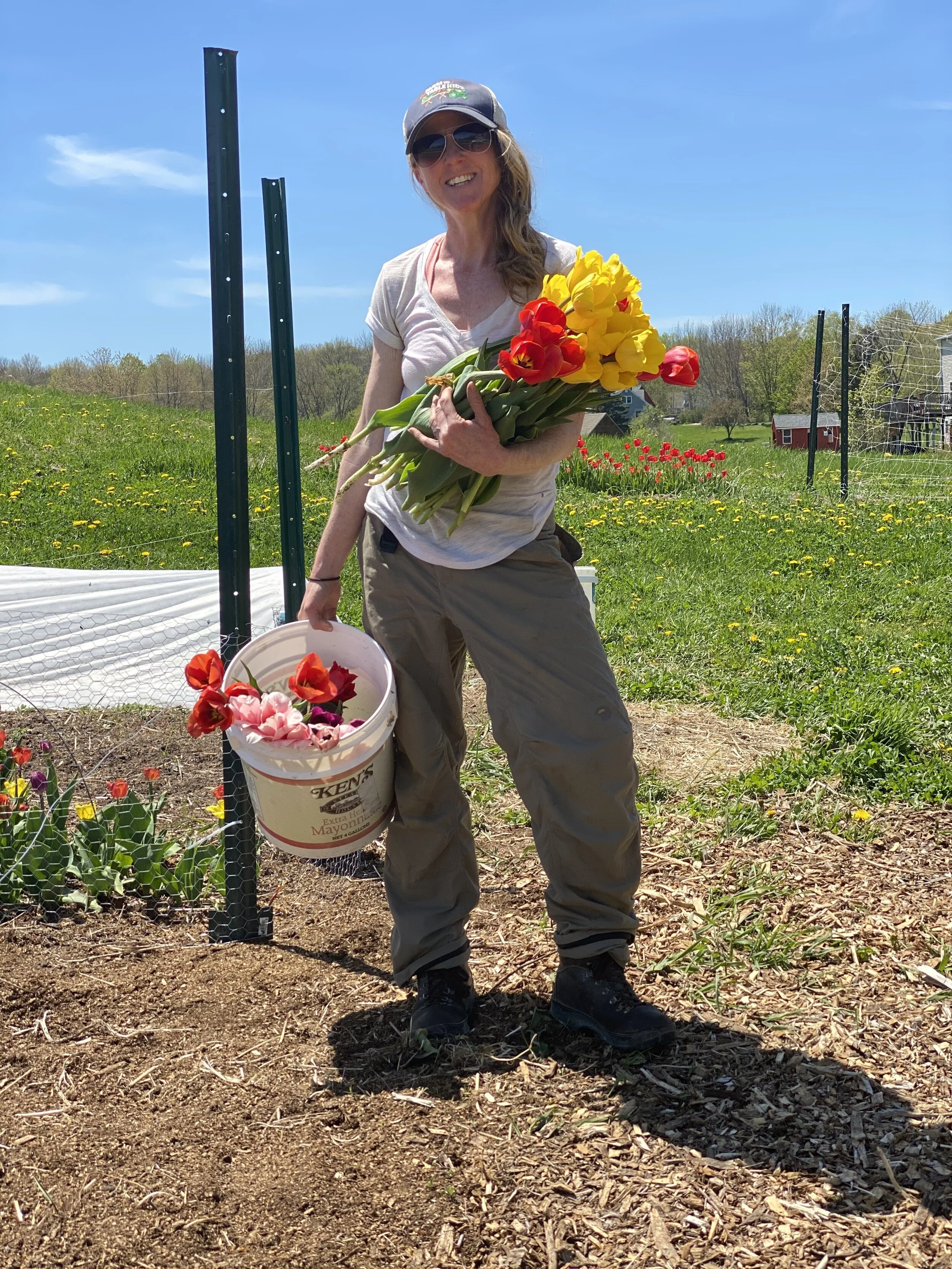 How to Plant Garlic & Tulip Bulbs with Farmer Steph & Coast of Maine