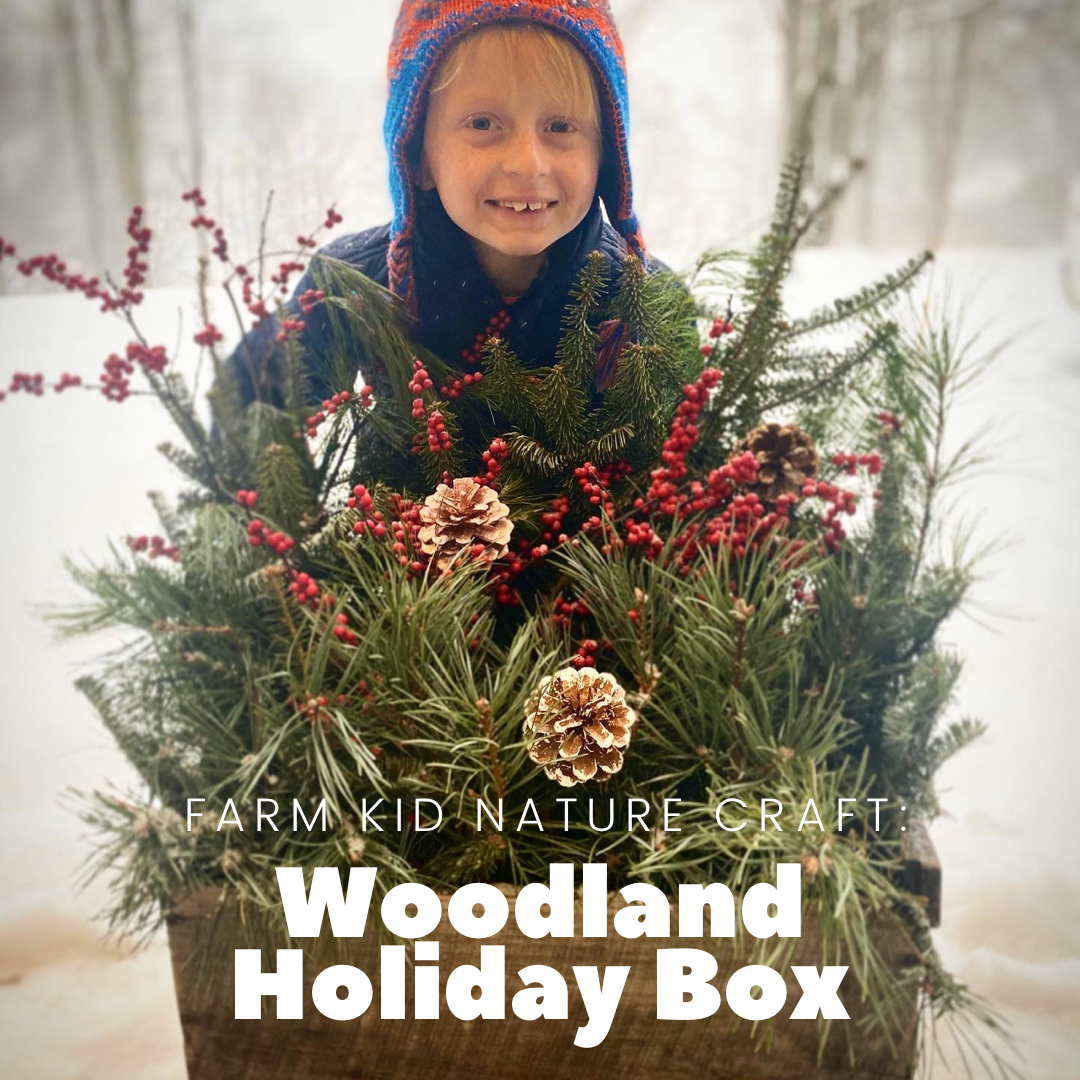 FARM KID DIY: how to make WOODLAND HOLIDAY BOXES
