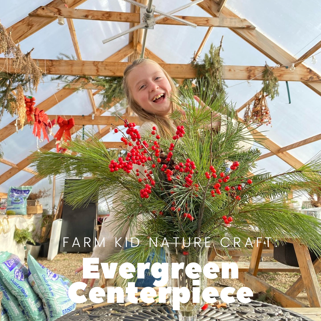 FARM KID DIY: how to make a HOLIDAY WOODLAND CENTERPIECE 