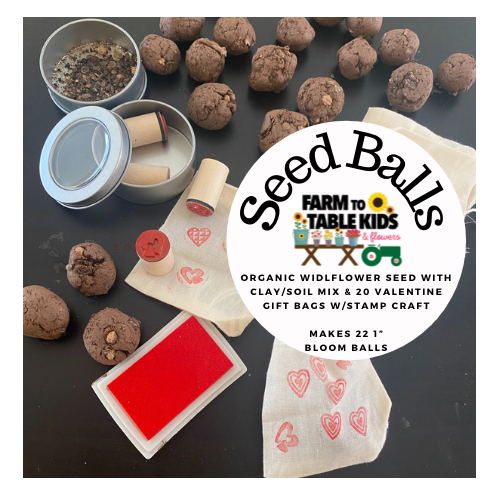 FARM KID DIY: how to make SEED BALLS (awesome for Valentine's Gifts!)