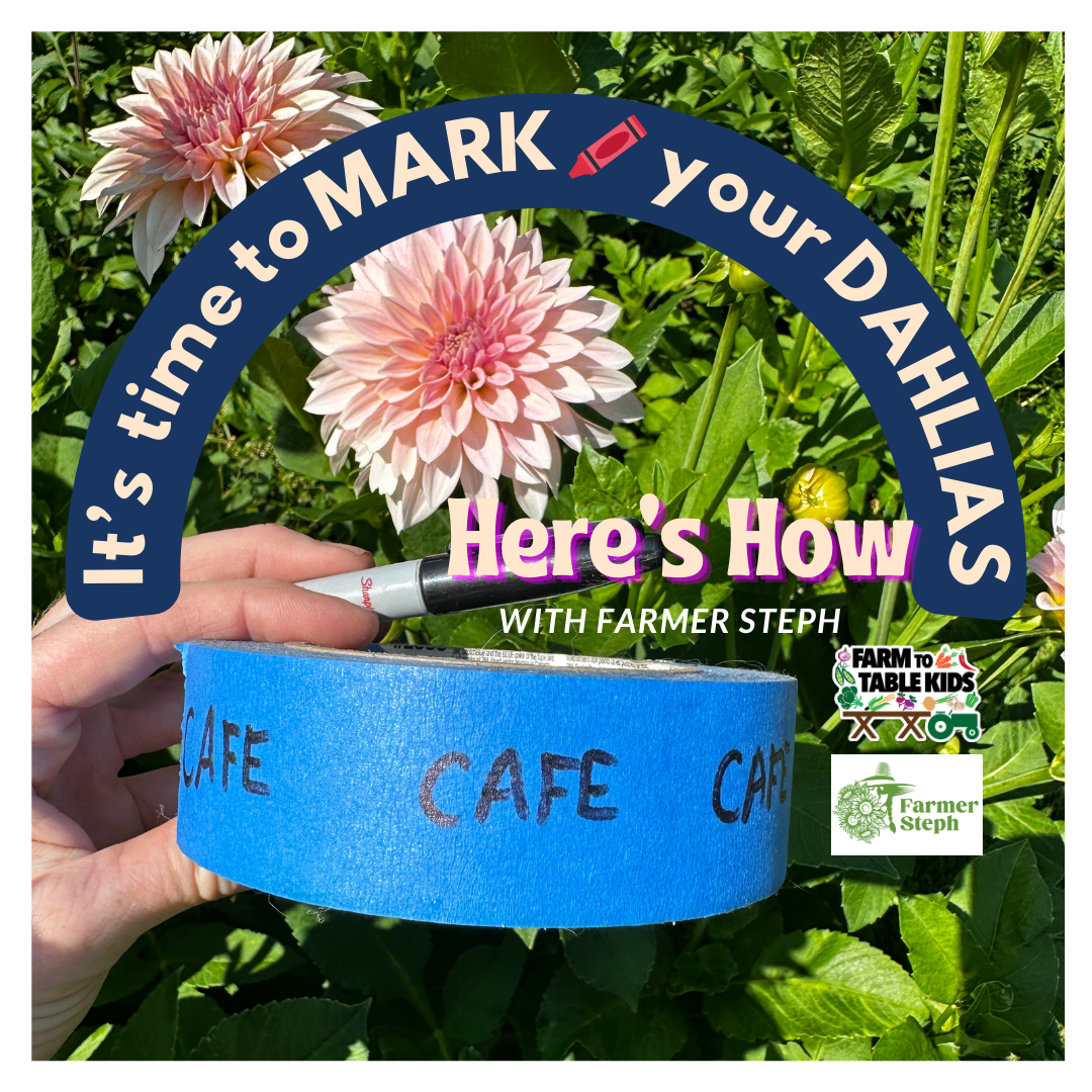 How to Label Your Dahlias 