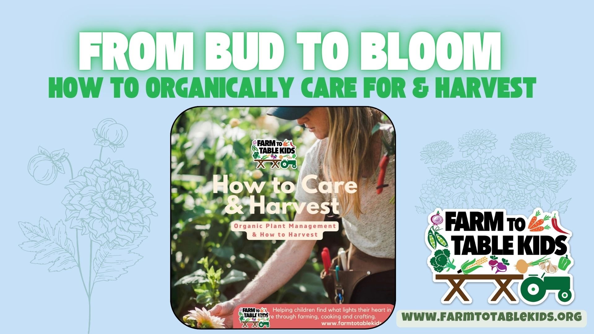 title from bud to bloom.jpg