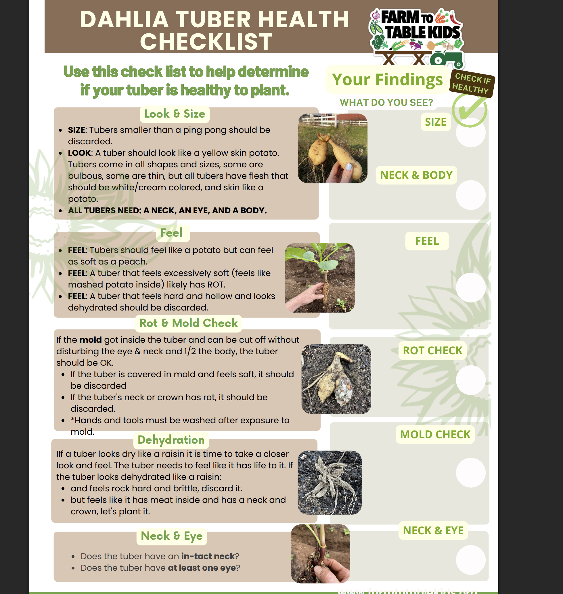 Screenshot 2026-03-03 at 10.23.02β―PM.png