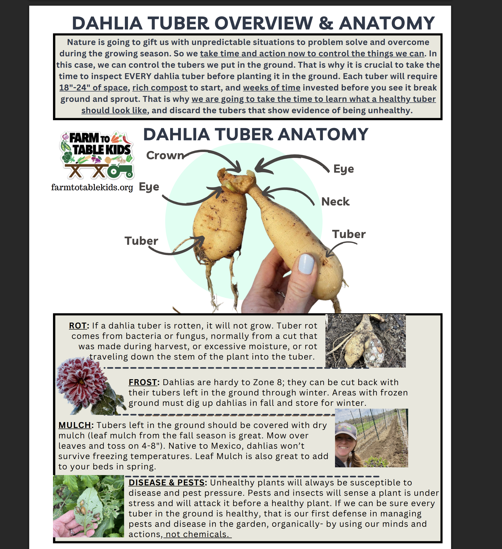 Screenshot 2026-03-03 at 10.22.51β―PM.png