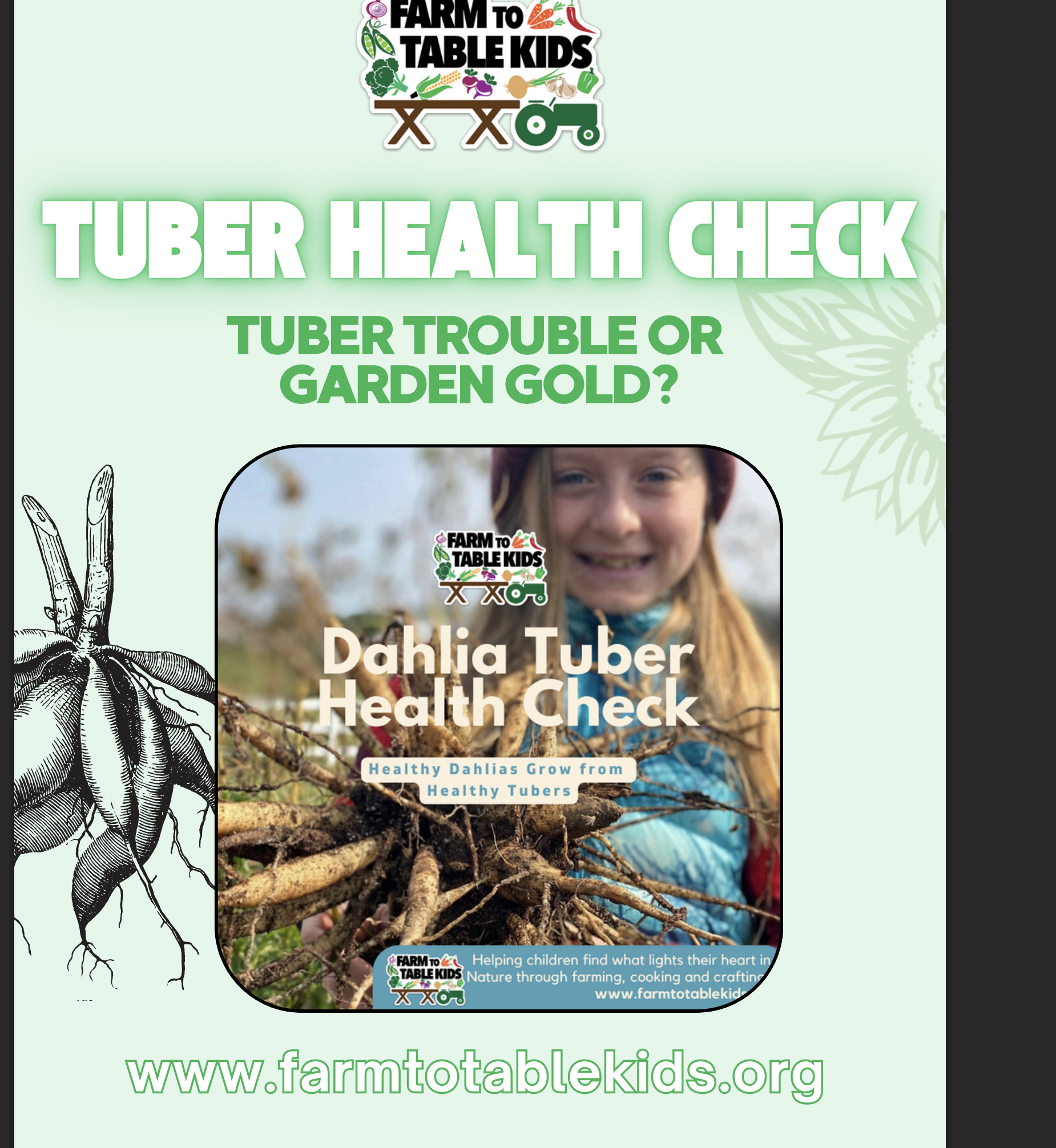 Screenshot 2026-03-03 at 10.22.45β―PM.png