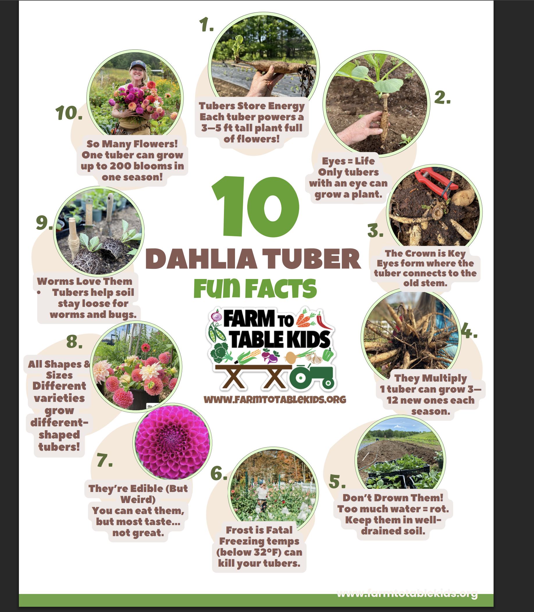 Screenshot 2026-03-03 at 10.23.08β―PM.png