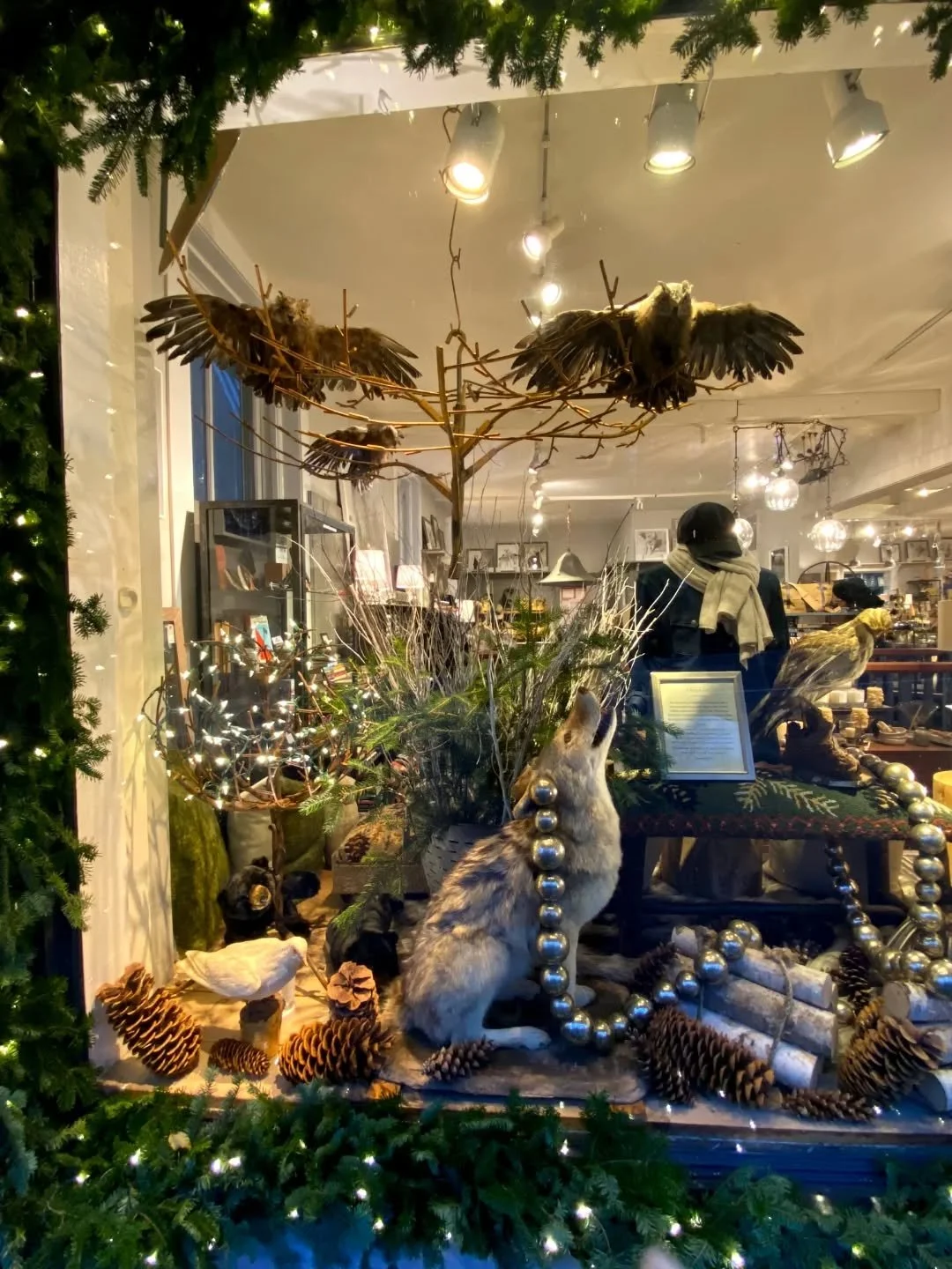 Holiday window dedicated to Joanna's grandfather, Dominic, who used the taxidermy displayed here to decorate his chain of sporting good shops in the 40's and 50's.  History remembered.  #familytree #remember #rip #holidayheirlooms #newprestonct