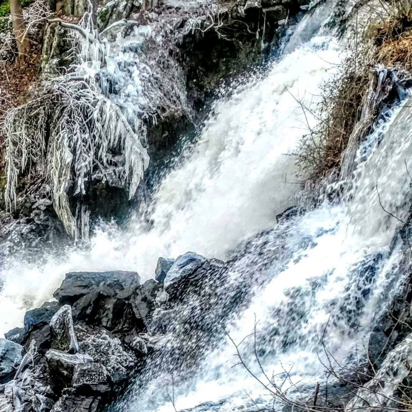 How many shops can say they have a 40 foot waterfall in their backyard!  New Preston Falls is gorgeous in any season.  Come in for our Winter Sale and while you pick up a bargain, see all the beautiful new Spring Collections that have arrived!  All y