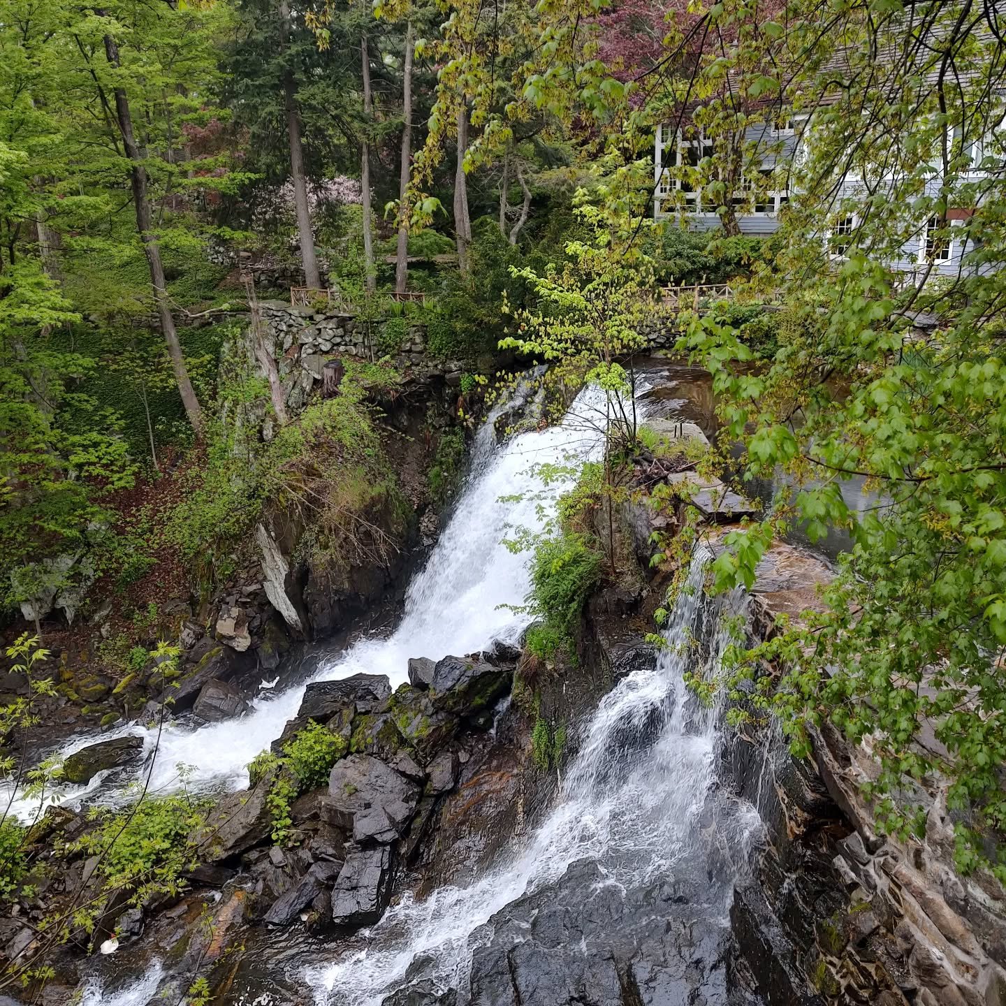 Waterfall music.  #ourbackyard #healingwaters #openeveryday #shoplocal #39years