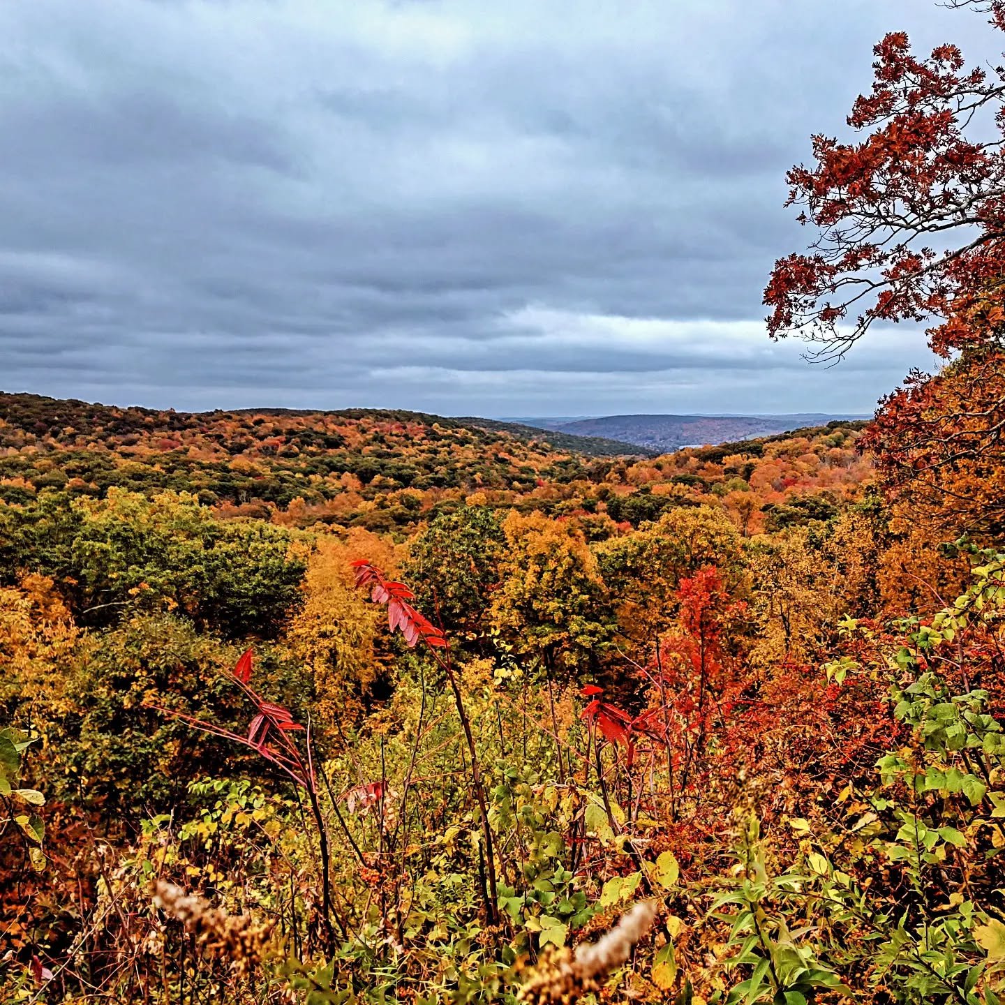 The Hills around New Preston Village are glowing!  #leafpeeping #fallcolors #spectacular #sunny #39years