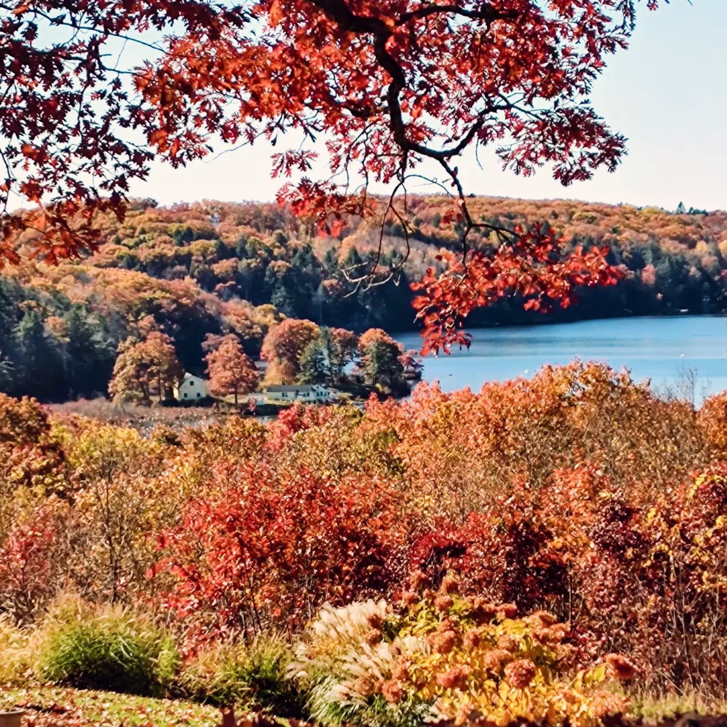 The house you see in the distance, located on a private peninsula on North Spectacle Lake, in South Kent, belongs to LA based designer @jamesperse.  A little known fact is that he is a @frederickgunn1850 alum as is Amanda Seitz, our co-owner.  We hav