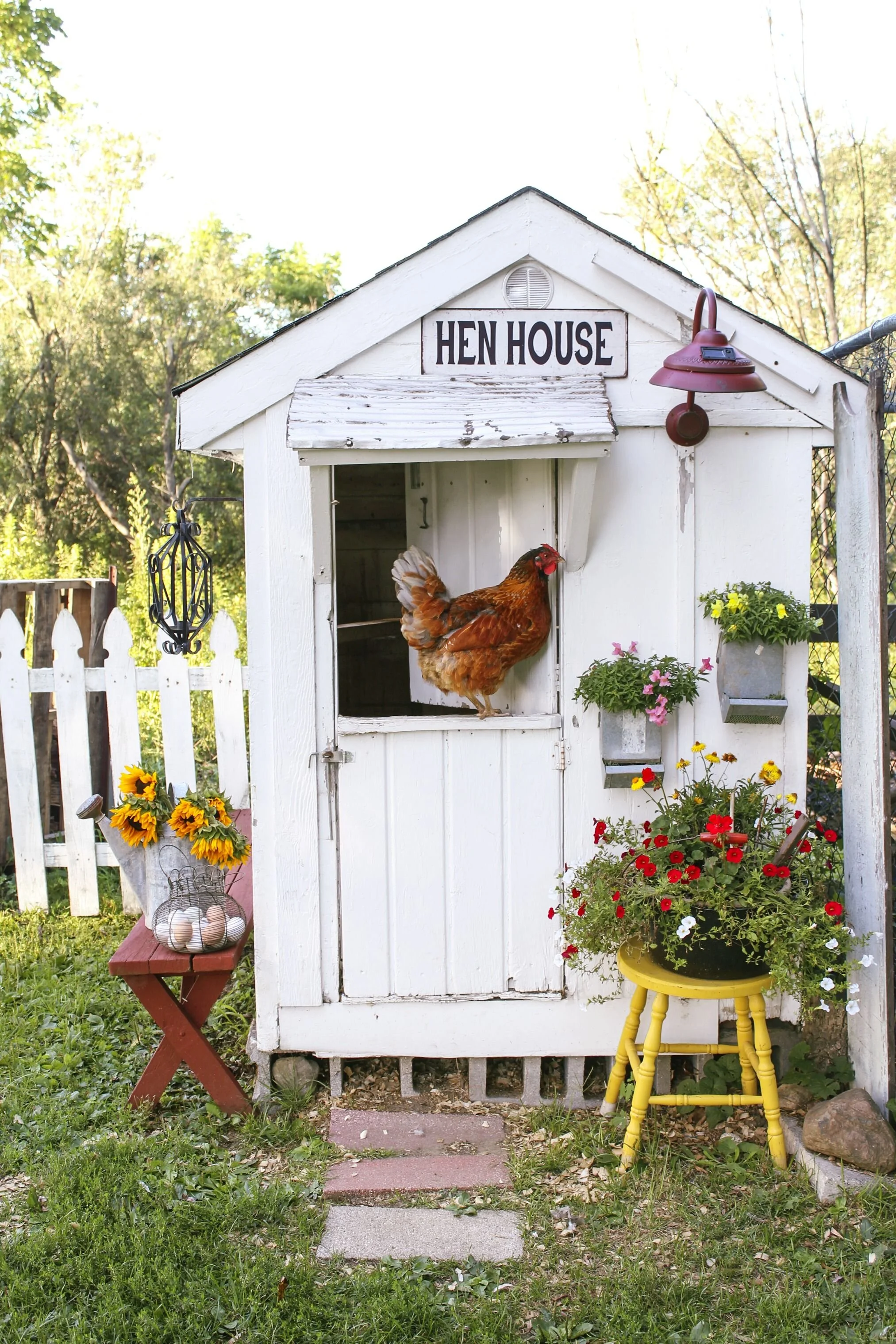 converted-white-playhouse-chicken-coop-1586383850.jpg