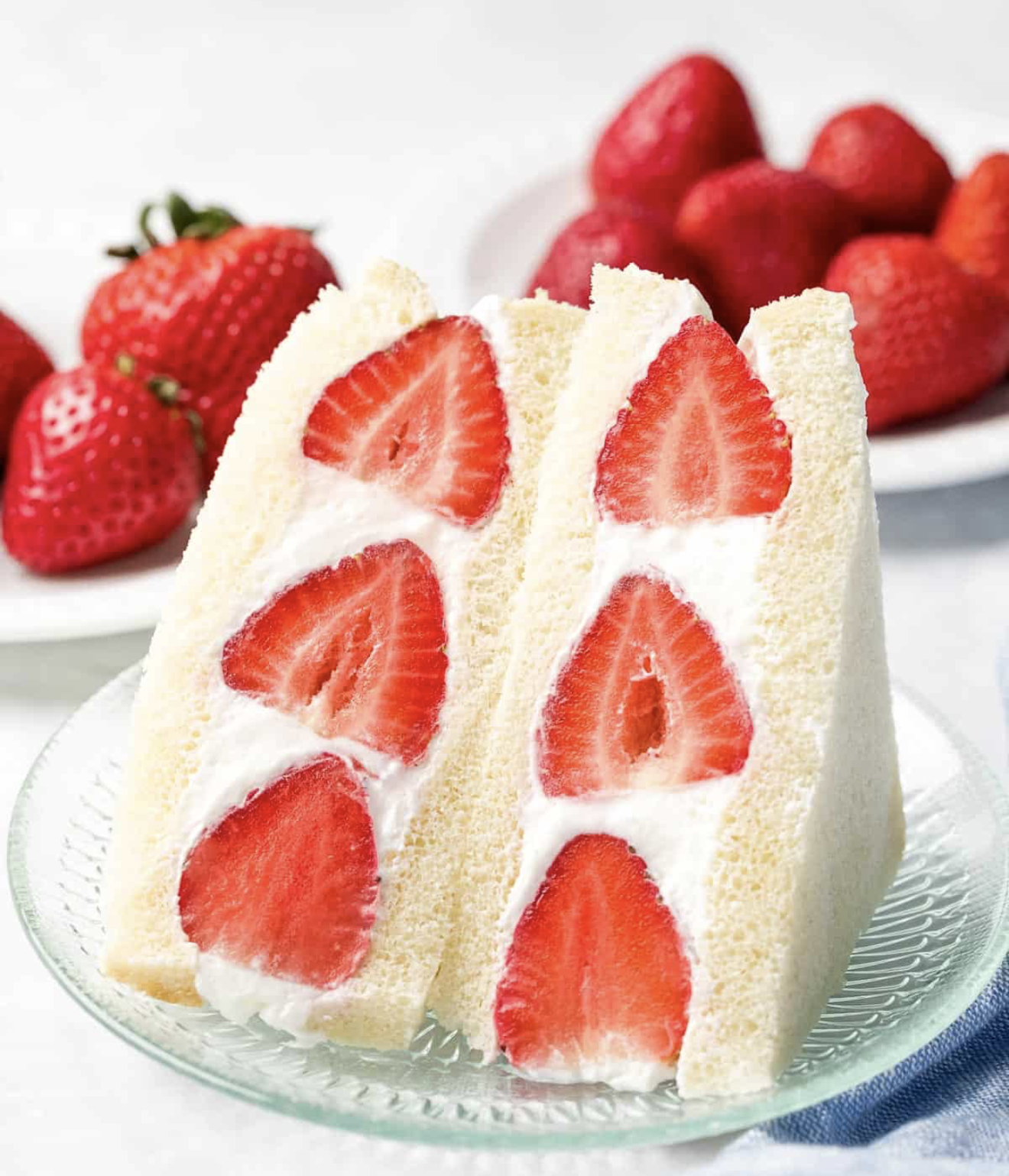 Bake the World