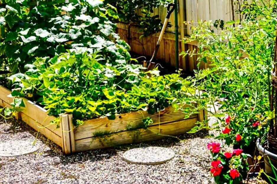 Should You Line a Raised Garden Bed? 