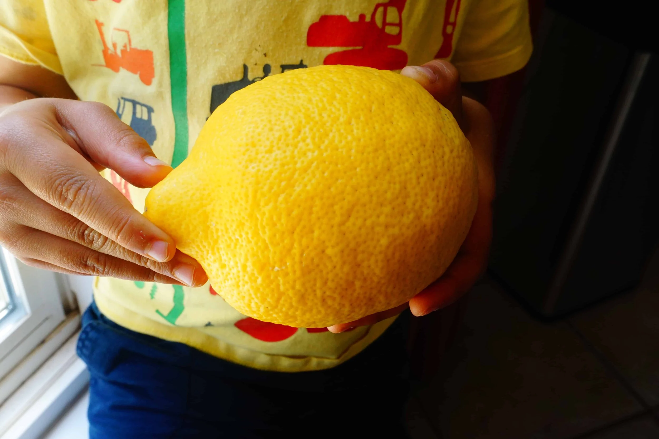 How to fertilize a lemon tree in a container — Cali Kitchen Garden