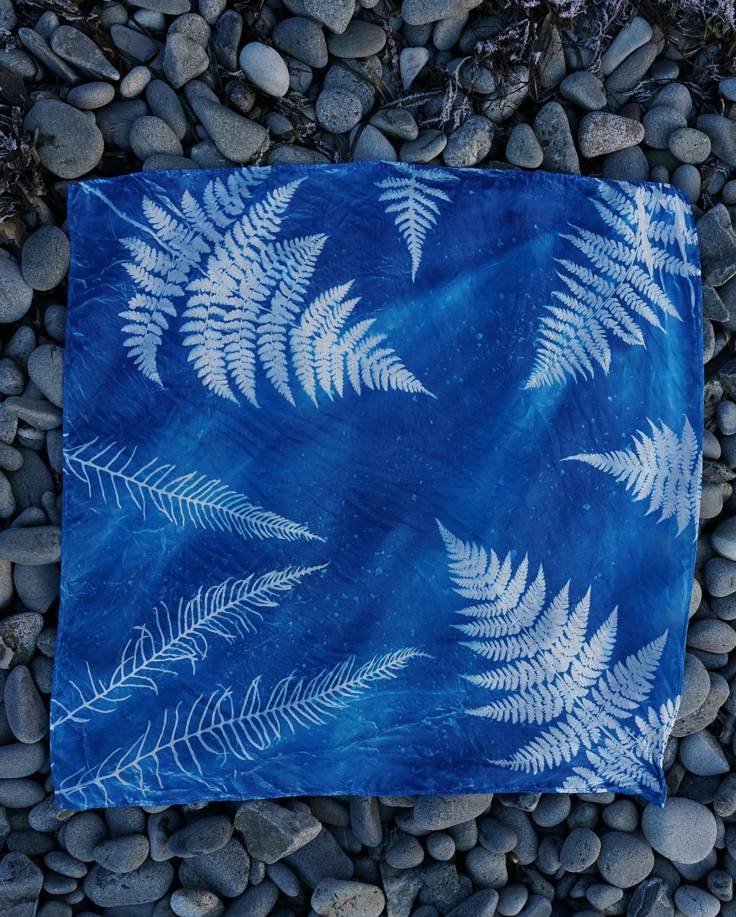 Cyanotype Scarves- finally available in my online shop!

These one-of-a-kind, 100% silk scarves come in two sizes. These rare beauties can only be printed on the hottest, sunniest days in the summer. Since I live in a rainforest, these days are prett
