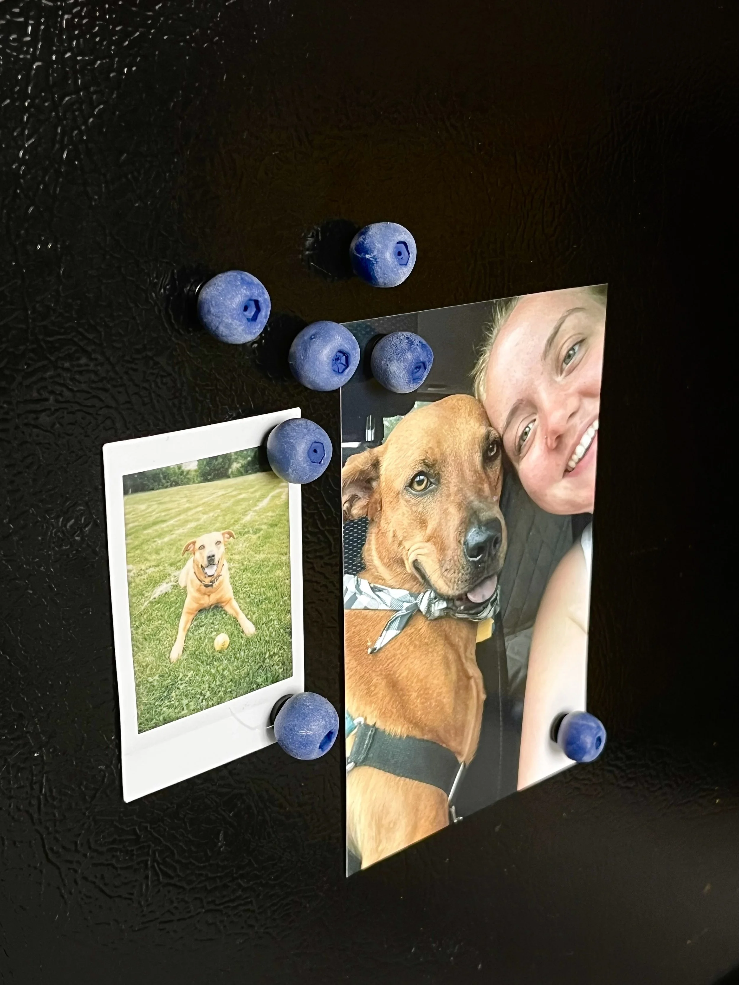 Blueberry magnets
