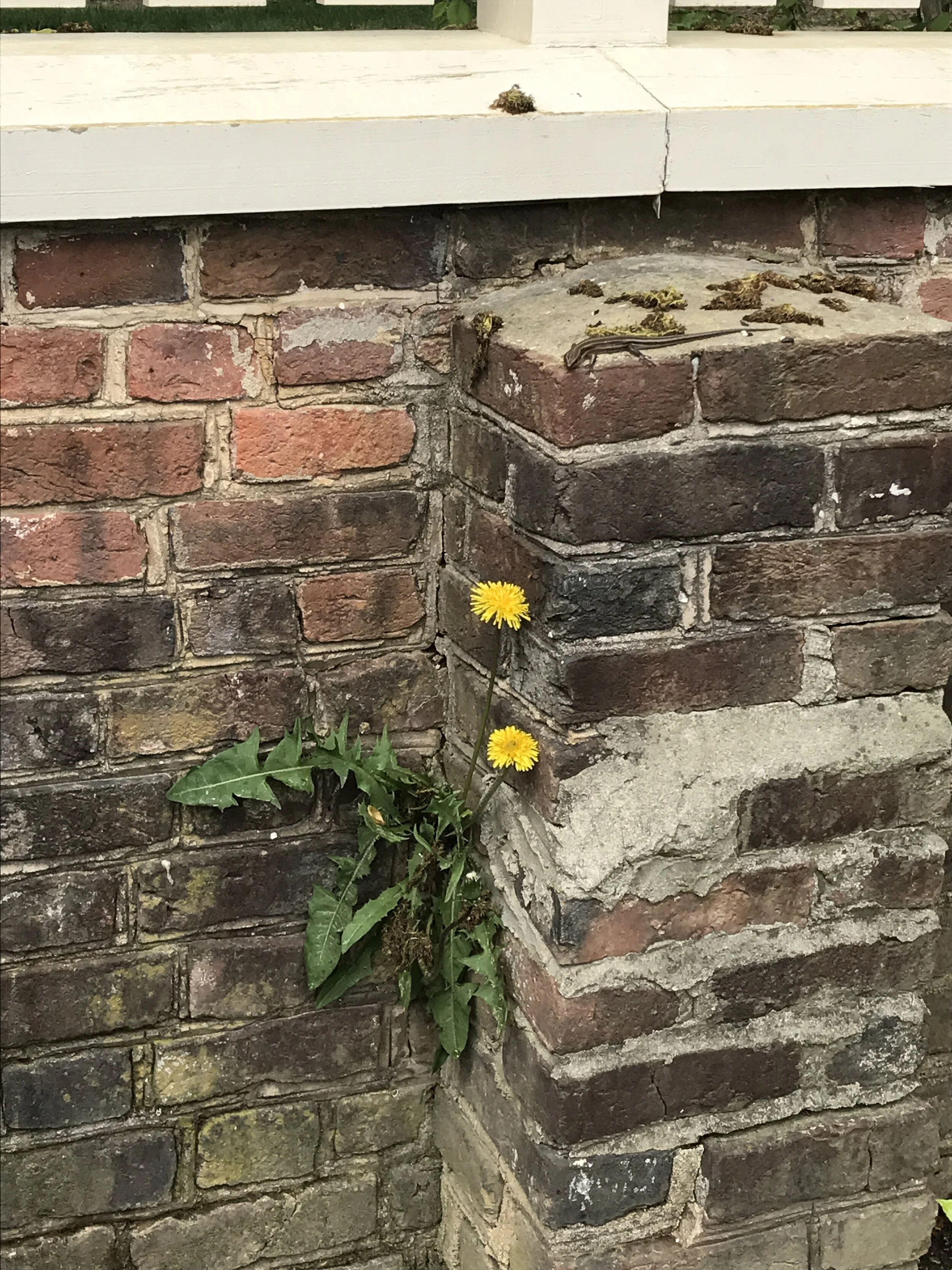 Where do I go from here?