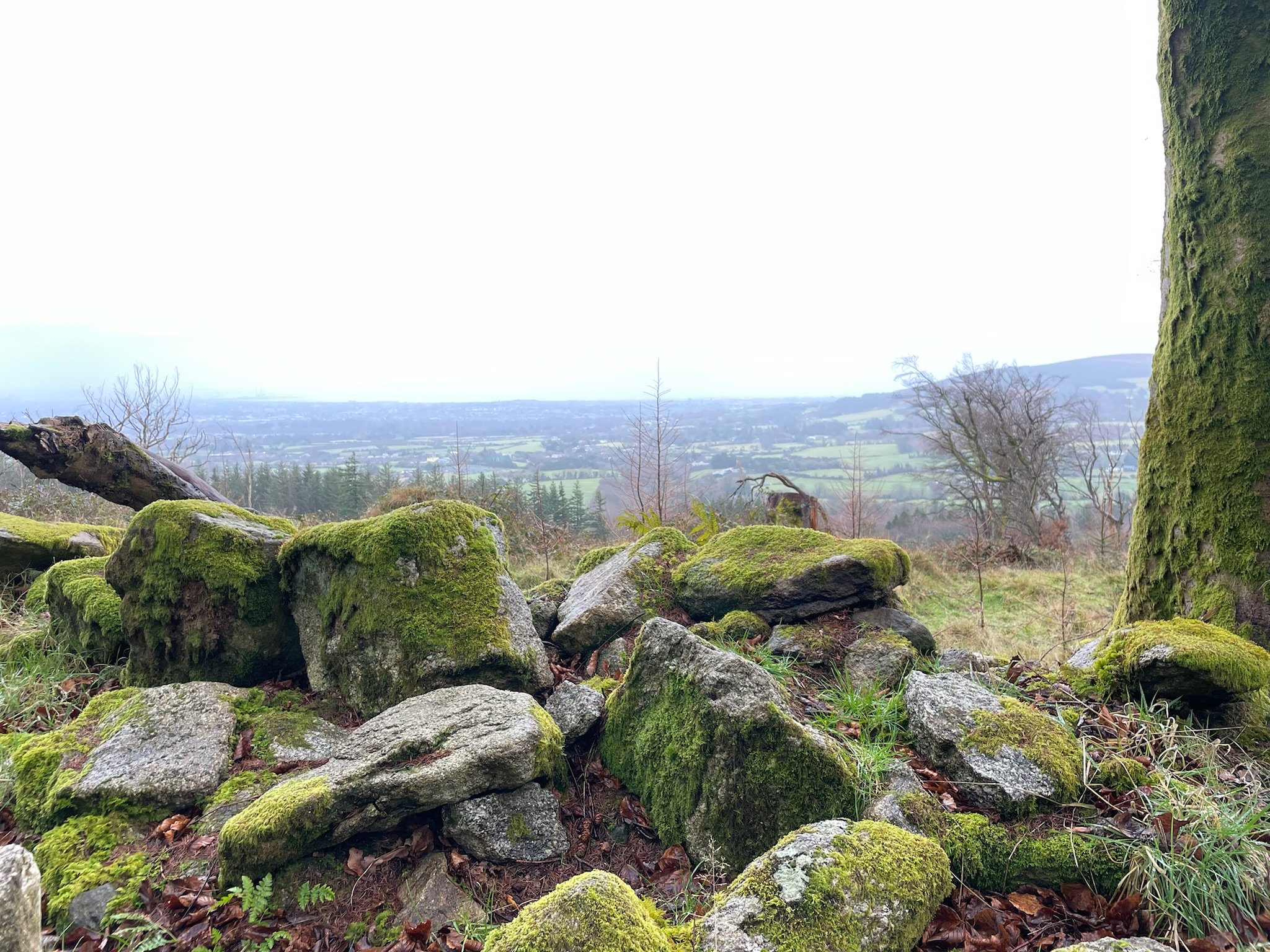 Ireland
